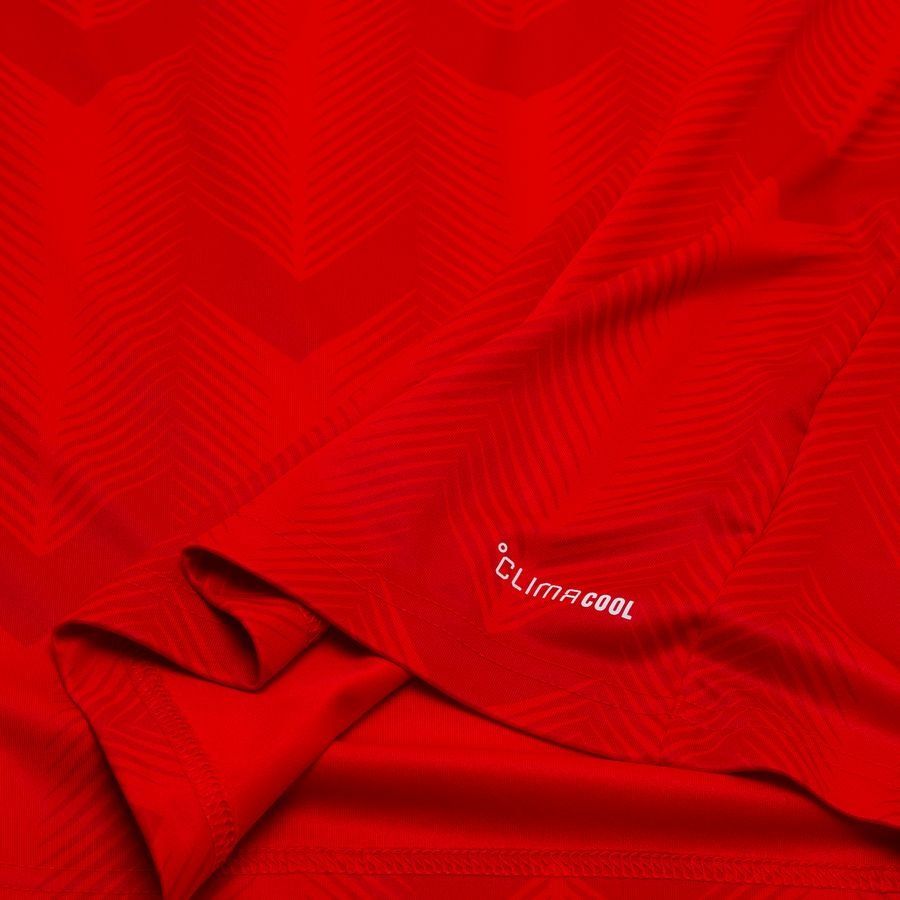 Chile Home Jersey 2025/26 Adults